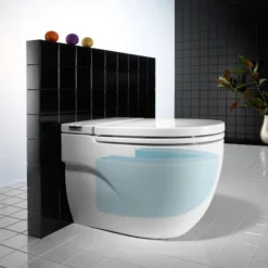 Roca In-Tank Meridian Back To Wall Toilet With Integrated Cistern + Soft Close Seat -Bathroom Supply Shop 893303000 d1