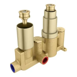 Arezzo Brushed Brass Square Modern Twin Concealed Shower Valve -Bathroom Supply Shop azbbsvsqd1