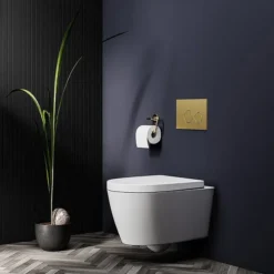 Arezzo Compact Top/Front Flush Toilet Frame With Brushed Brass Flush - Round Buttons 5 Arezzo Compact Top/Front Flush Toilet Frame With Brushed Brass Flush - Round Buttons -Bathroom Supply Shop azcfrbbdetail01
