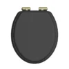 Heritage Soft Close Toilet Seat With Vintage Gold Hinges