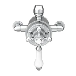 Trafalgar Traditional Dual Exposed Thermostatic Shower Valve -Bathroom Supply Shop tsv11nd1